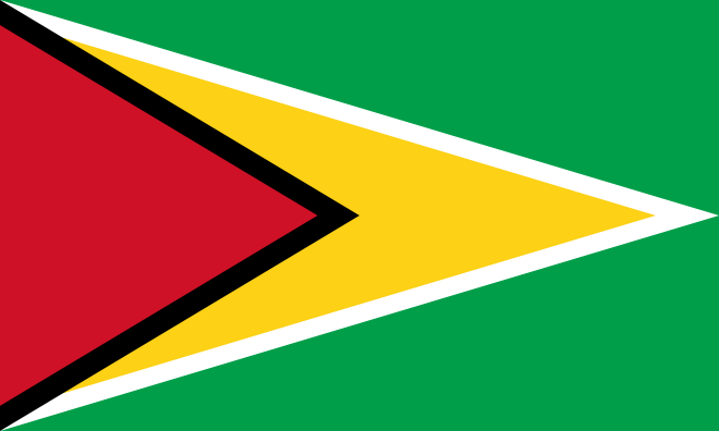 Guyana Announces World’s First Credits Eligible for Use by Airlines in First Phase of CORSIA 